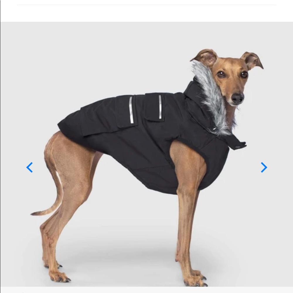 Canada Pooch Everest Explorer Jacket
